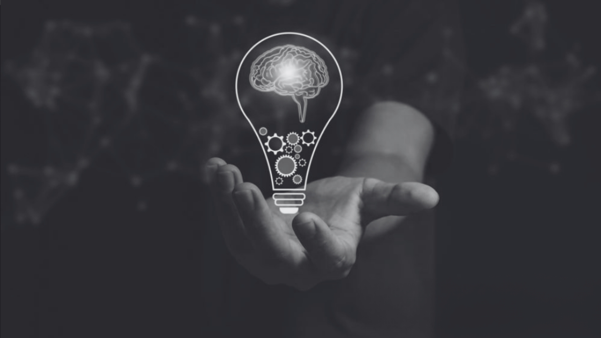 Création site internet 28